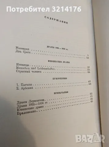 Полное собрание сочинений. Том 1-4 - Михаил Юрьевич Лермонтов, снимка 6 - Художествена литература - 50358494
