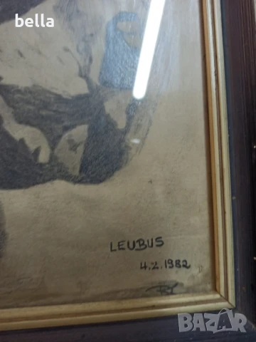 Рамкирана картина рисунка-глава на кон ,подписана, снимка 5 - Картини - 50575871