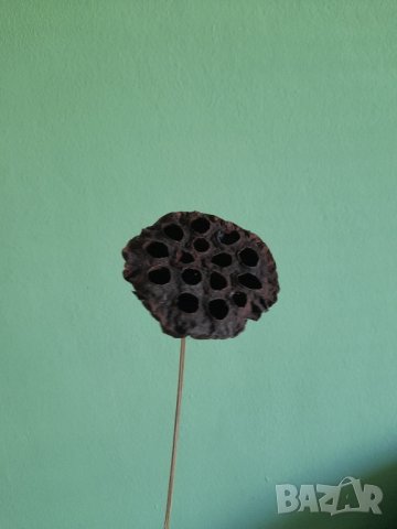 Сухи цветя , снимка 2 - Декорация за дома - 44080827