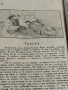 Винтидж Списание Росица 1924-1925 г. , снимка 6