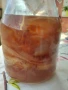 Тибетска гъба Комбуча SCOBY, снимка 5