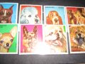 марки-серия кучета-парагвай, снимка 1 - Филателия - 39739616