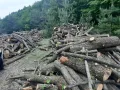 предлагам дърва за огрев метровки, снимка 1