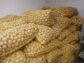 Продавам семе Картофи сорт Сорая Агрия и Агата цена 1.20лв/кг област Пловдив , снимка 8