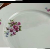 Стар български порцелан чинии , снимка 2 - Антикварни и старинни предмети - 36912250