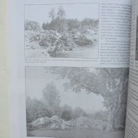 Книга Паркът "Врана" История и композиция - Лидия Фомина 2003 г., снимка 4 - Специализирана литература - 37342329
