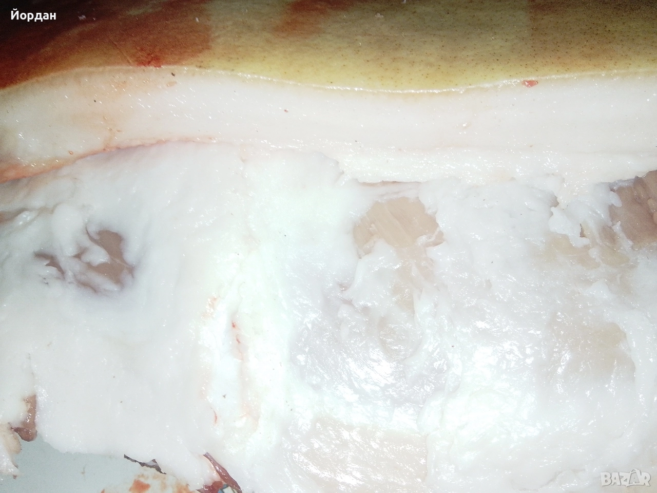 прясна сланина , снимка 1