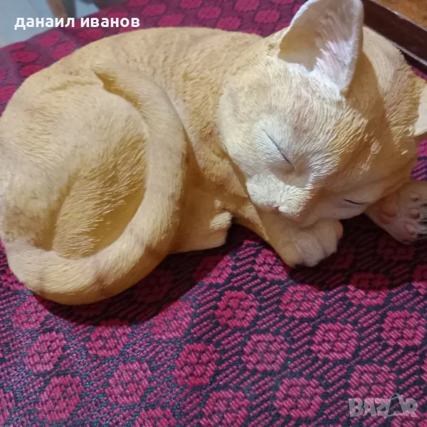 котенце , снимка 1