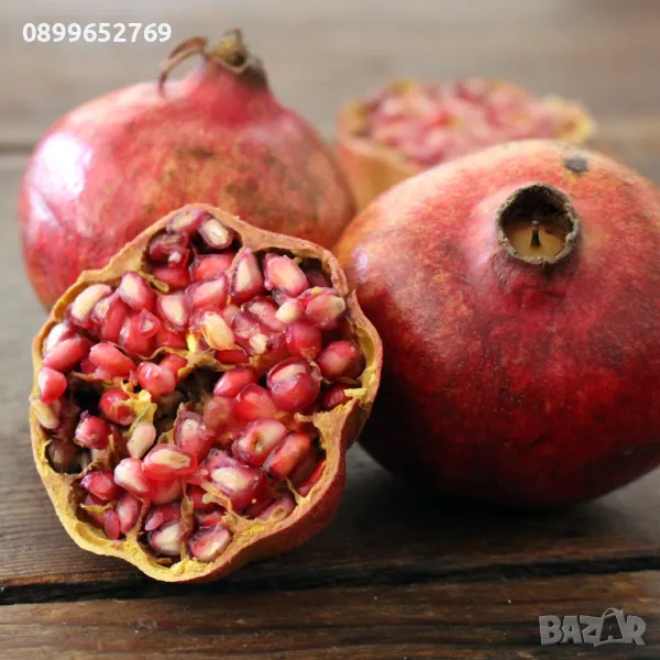 Нар 30  см, снимка 1