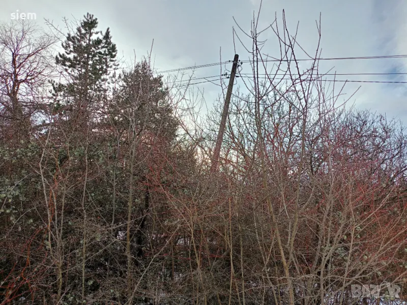 Дворно място/ Парцел 1000 кв.м, снимка 1