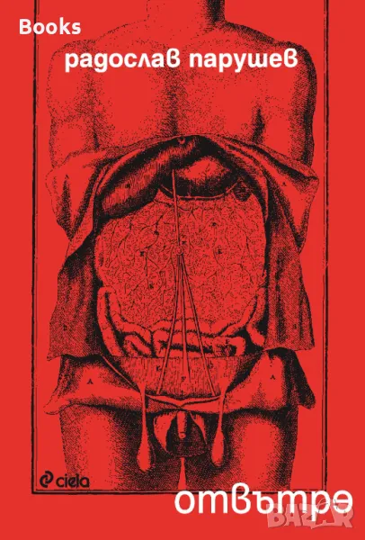 Радослав Парушев - Отвътре, снимка 1