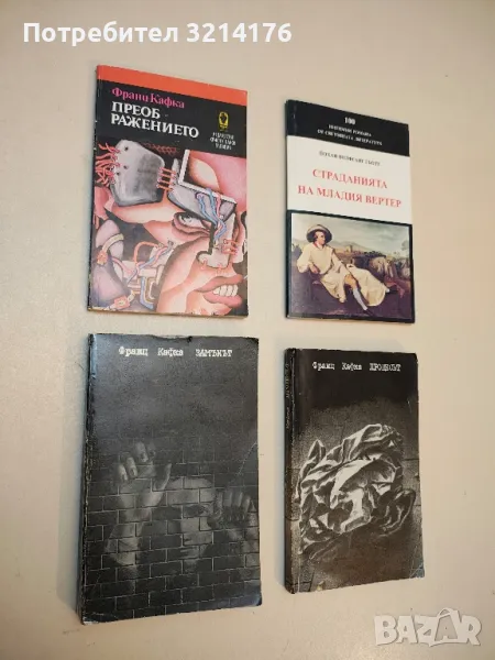 Замъкът - Франц Кафка, снимка 1