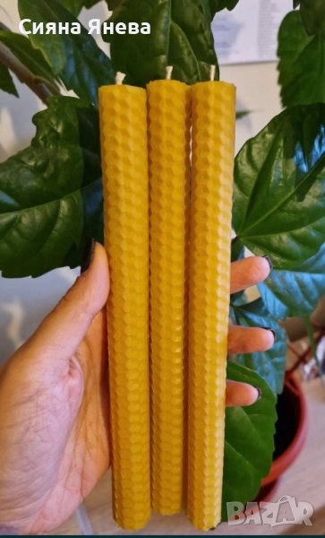 Свещи от био пчелни пити, снимка 1