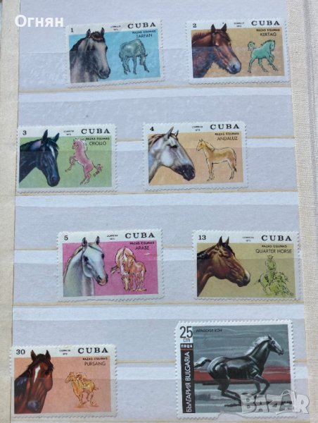 Пощенски марки коне, снимка 1