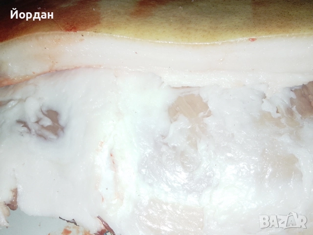 прясна сланина 