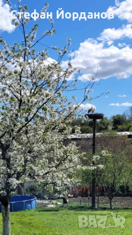 Парцел, снимка 7 - Парцели - 52220095