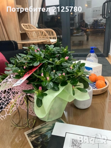 Продава магазин оборудван бизнес, снимка 10 - Магазини - 51920924