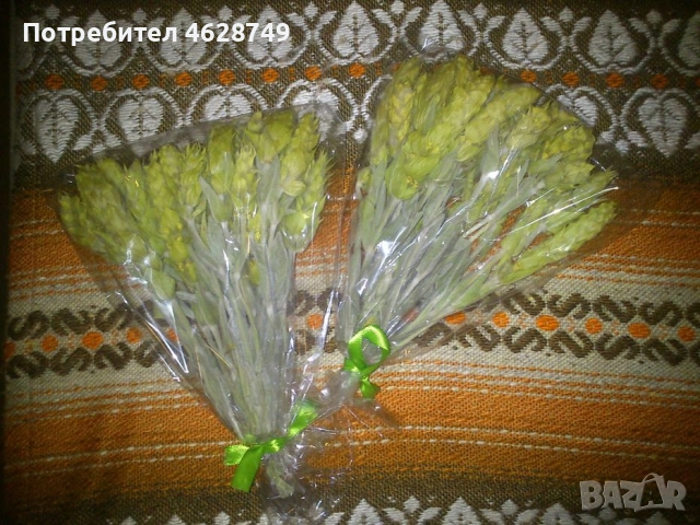 Мурсалски чай от производител