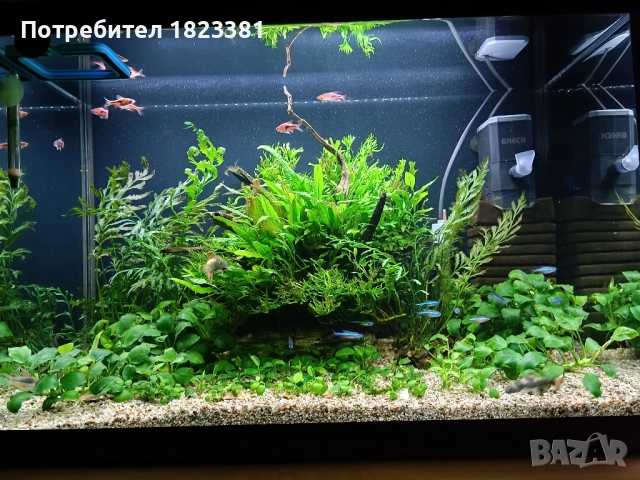 Напълно оборудван и работещ аквариум , снимка 7 - Аквариуми - 49185034