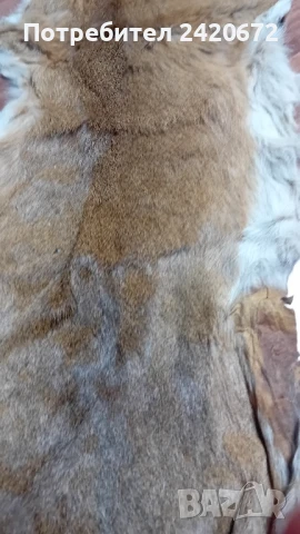 еленска кожа, снимка 4 - Антикварни и старинни предмети - 51182824