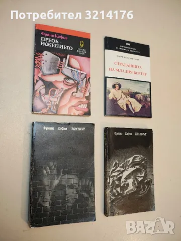 Замъкът - Франц Кафка