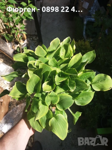 Обява за работа – общ работник