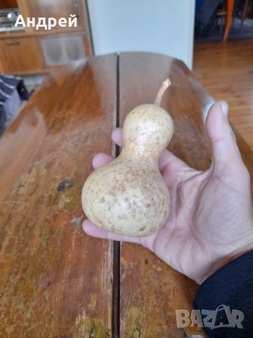 Стара кратуна #4, снимка 2 - Други ценни предмети - 53466690