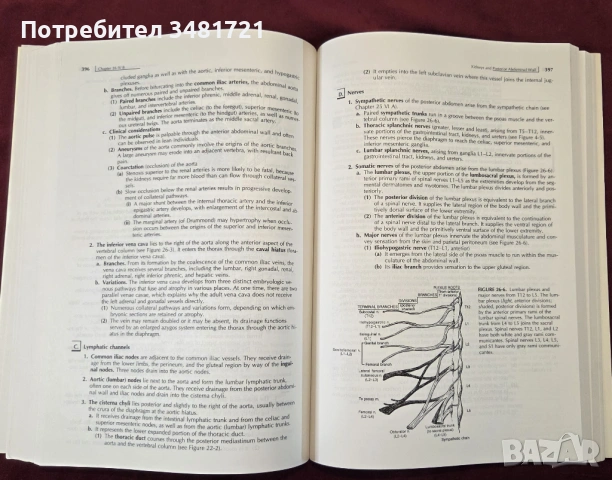 Clinical Anatomy 3rd edition, снимка 9 - Специализирана литература - 53519575
