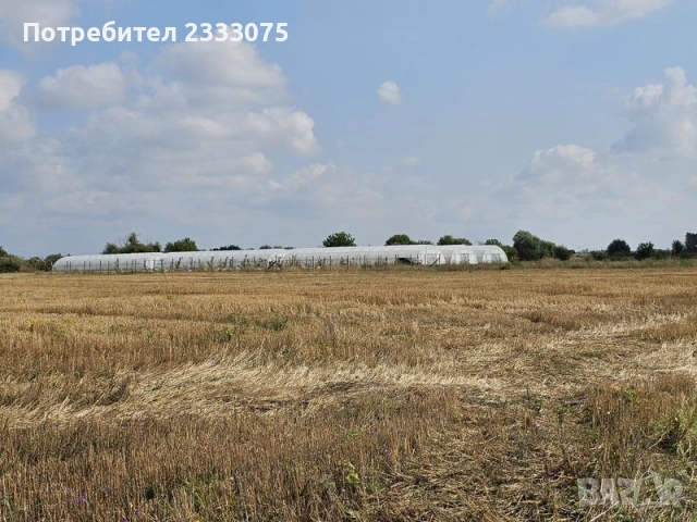 Продавам 24,860 дка земя в землището на с. Крислово, обл. Пловдив, снимка 7 - Земеделска земя - 53530333