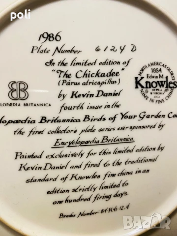 порцеланова чиния за стена , снимка 3 - Декорация за дома - 51123521