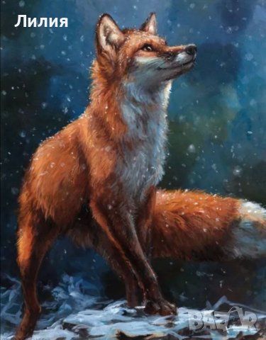 5D  Диамантен гоблен