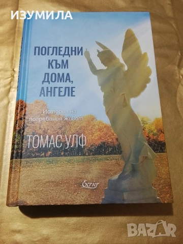 Погледни към дома, ангеле - Томас Улф