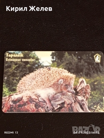 Три фонокарти тема ЖИВОТНИ ТАРАЛЕЖ,РИС,ПРИЛЕП МАЛЪК ПОДКОВОНОС 42406, снимка 3 - Колекции - 51643959