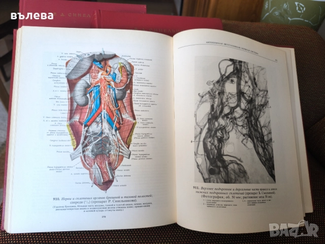 Атласи по анатомия на човека , снимка 2 - Специализирана литература - 51662780