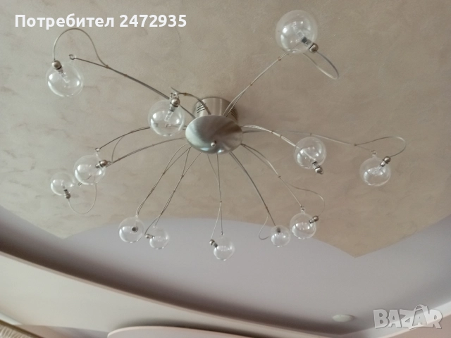 Полилей, снимка 3 - Полилеи - 51706126