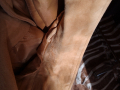 чисто ново мъжко сако от естествена кожа - бежов велур, снимка 11
