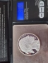 Сребърна монета-Буфало,1oz ,0.900, снимка 3