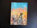Огнена пустиня Любомир Николов книга игра приключения героят си ти , снимка 1