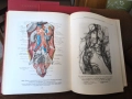 Атласи по анатомия на човека , снимка 2