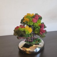 Дърво Бонзай в керамична кашпа, снимка 3 - Декорация за дома - 41836211