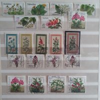 Пощенски марки  / цветя / 130 бр., снимка 4 - Филателия - 40402200
