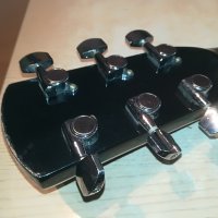tennessee gewa китара-внос germany 2905211433, снимка 9 - Китари - 33036802