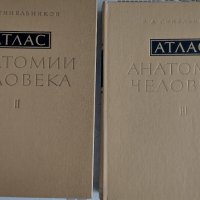Атлас анатомии человека на Р.Д. Синельников, снимка 1 - Специализирана литература - 43690043