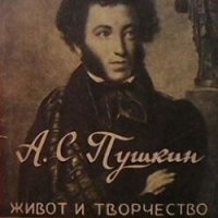 А. С. Пушкин - живот и творчество С. М. Петров, снимка 1 - Художествена литература - 28028344