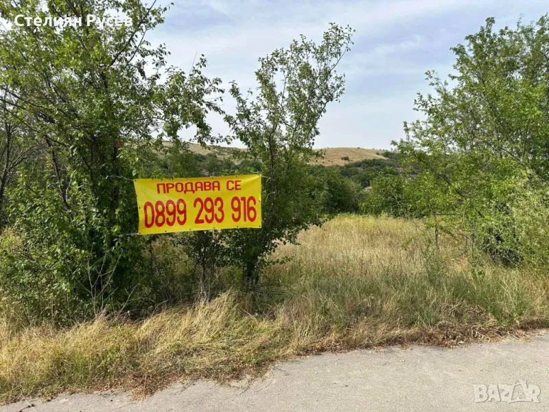 с. Калипетрово имот 1191кв.м / градина / парцел / терен , област Силистра -цена 11 000лв на 100м от , снимка 1