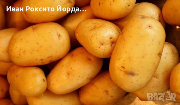 Родопски картофи, снимка 1