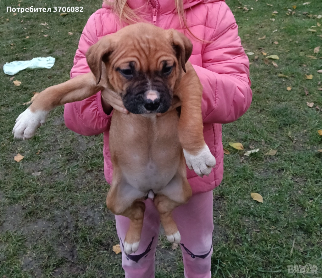 Породава се женска с поставена първа ваксина и паспорт , снимка 1