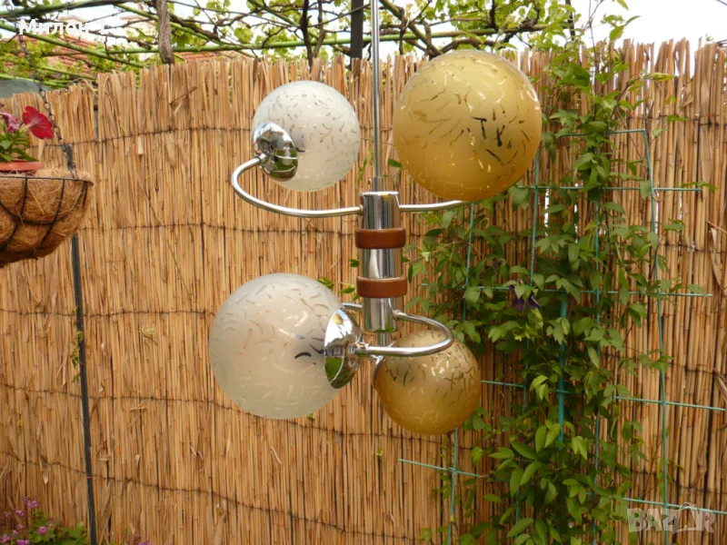 Български полилей, снимка 1