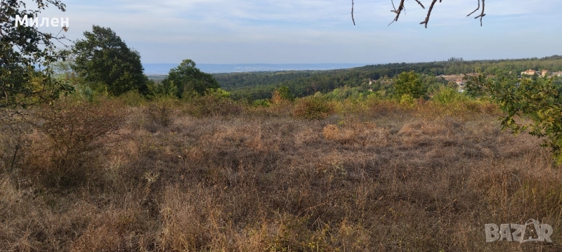 Продавам парцел или давам срещу обезщетение , снимка 1