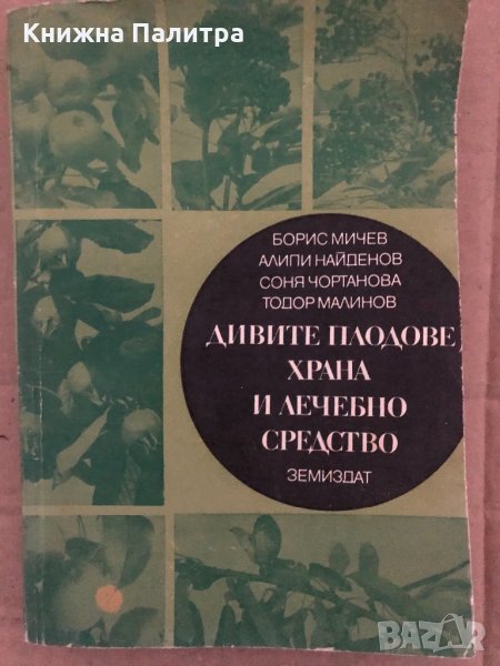 Дивите плодове, храна и лечебно средство Борис Мичев, Алипи Найденов, Соня Чортанова, Тодор Малинов, снимка 1